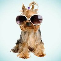 WhatChaLike365 (@theclaydog1025) 's Twitter Profile