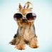 WhatChaLike365 (@theclaydog1025) Twitter profile photo WhatChaLike365 (@theclaydog1025) Twitter profile photo