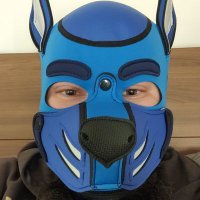 Dog Cloud (@dog_cloud_argos) 's Twitter Profile Photo Dog Cloud (@dog_cloud_argos) 's Twitter Profile Photo