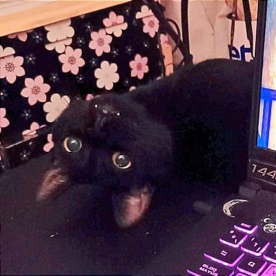 Yαızα*さんのプロフィール画像