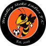 BradleyStokeLFC's profile picture. Football club based in Bradley Stoke, Bristol. GCWFL Division 3 Champions 21/22🏆⚽️ #HerGameToo