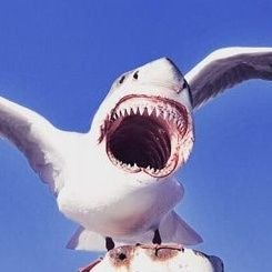 Shark_Gull Profile Picture