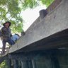 nicoarguellito's profile picture. Ing. Zootecnista