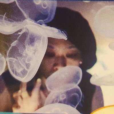 i'm 29 🦘 🏳🌈🏳⚧🐸🫐💗 {follow request=ok if you're 20+} i like MUCC and PTG a normal amount