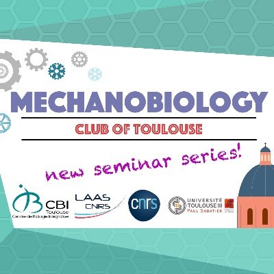 Interdisciplinary seminars @CbiToulouse @LaasCNRS bringing together Toulouse researchers at the interface of biology, physics, engineering and mathematics!