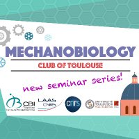 Mechanobiology Club of Toulouse(@MechanoClub) 's Twitter Profile Photo