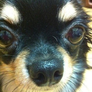 pp_fujiwo's profile picture. 