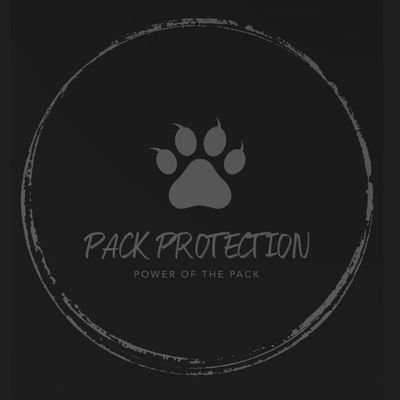 PackProtection's profile picture. 
