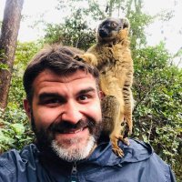 Michele D'Agostino (@soloconilsolo) 's Twitter Profile