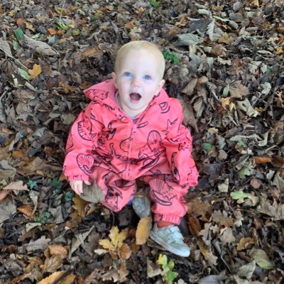 KittGarvey's profile picture. 