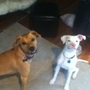 Teddy WestSide - @TeddyWestSide - Twitter