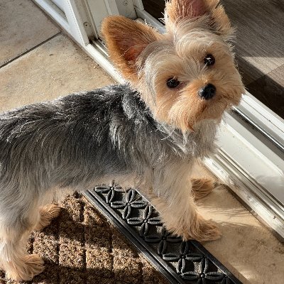 Aspenalps1's profile picture. Retired Accountant