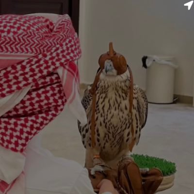 r2_gdc's profile picture. متناقِض,كالذِي يعلِن الحرب لإيجاد ألسّلام.