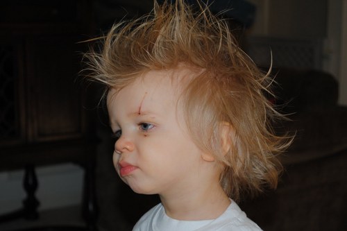 Hi!! I'm Kayden. I'm 6!! I grow fast!!! I am the son of @InsightfulEd @NotSoShyLamb