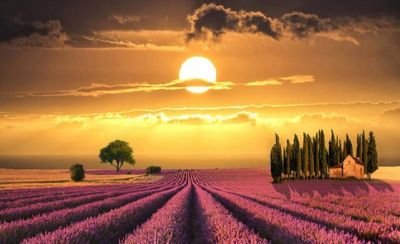 hong205296's profile picture. hong205296