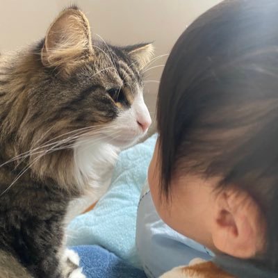 NorwegianFore12's profile picture. 2021.6🐘2023.6🐘/2人の男の子ママです/ママ垢ルールわかりません😭/九州出身 関西住み/無言フォローごめんなさい！/猫好き♡/おやつ好き/子育て以外色々つぶやきます/良ければ仲良くしてください☺️