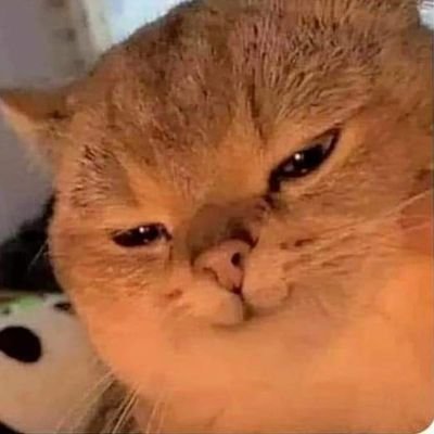 SoulfulofLuv's profile picture.