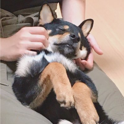 あおはるさんのプロフィール画像