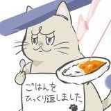 ireiisarata's profile picture. 成人済 あんまりいません じっくりカレースペシャルはBlueskyにもいます