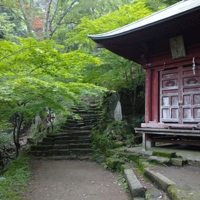 見る専です🍵
無言フォロー失礼します。