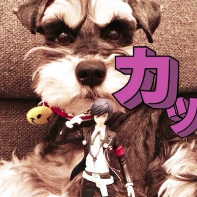 nanaooooo's profile picture. BBAの雑多垢なので注意/KingGnu/テクノ/電気グルーヴ/モンハン/P3/👑🐃/🐶🐻🦊/GUCCI/元テクノDJ/‍元ネイリスト/LOVE PARADE '96❤️‍🔥/USJ🌏/夏はなかった/秋が終わったなんて/冬もないなんもない終わり