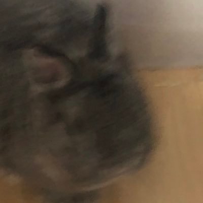 galasya1059's profile picture. ラーメンズ、TEAM NACS、のと☆えれき、2BRO.、三人称、mzyb、ドズル社。TAO&つめんちゅ。 20↑