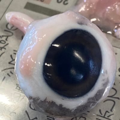 nikuudon_JP's profile picture. 