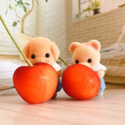 えふ🐻🐶さんのプロフィール画像