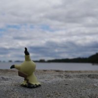 ゆっけ (@yukke029) 's Twitter Profile Photo