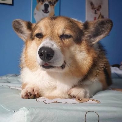 とんさまさんのプロフィール画像