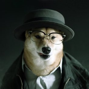 うみさんのプロフィール画像