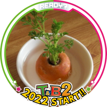 carrote019's profile picture. サーモンランは日課。野良によく潜ってます スプラトゥーン、DQB2、モンハンRISEサンブレイク、LINEモンスターファームなど 。密かにDQライバルズ復活を願ってる 2017年10月チンチラを飼う