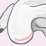 もっさんさんのプロフィール画像