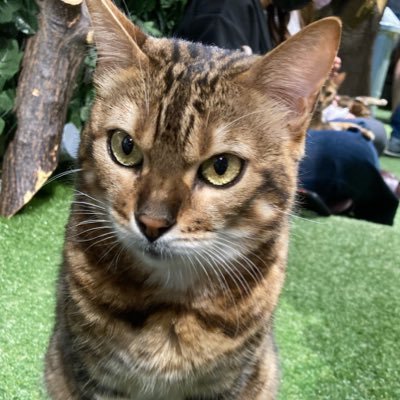JELNICO's profile picture. 片田舎の工場勤務。現場作業員兼、情シス兼、採用担当兼、雑用係やってます。新しいことやりたいと言いつつ生産体制を整えようとしない上層部に嫌気がさし、クビにならない程度に頑張るようになりました。漫画、ゲーム、競馬が好きなただのオタクです。フォロー、リプ大歓迎です。