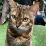 JELNICO's profile picture. 片田舎の工場勤務。現場作業員兼、情シス兼、採用担当兼、雑用係やってます。新しいことやりたいと言いつつ生産体制を整えようとしない上層部に嫌気がさし、クビにならない程度に頑張るようになりました。漫画、ゲーム、競馬が好きなただのオタクです。フォロー、リプ大歓迎です。