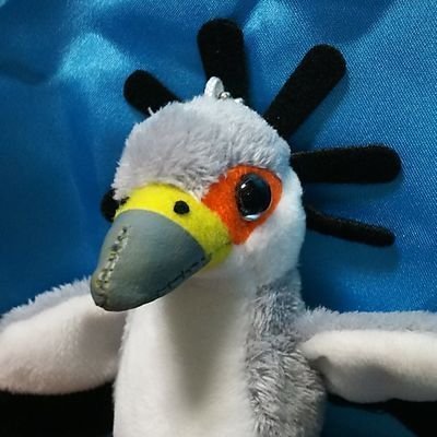 。すで㕑古壊さんのプロフィール画像