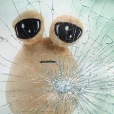 idkqueenso12's profile picture. proship dni dni dni DNI!!!!