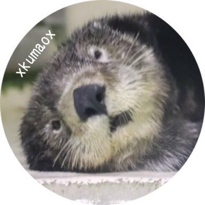 XkumaoX Profile Picture