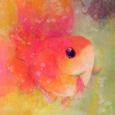 絵を描きます | 金魚や生き物中心に好きなものを優しい雰囲気で描きます🎨 | 料理が好きな夫婦2人暮らし主婦 | ポケモン・任天堂・水族館・宇多田ヒカル・藤井風など好き