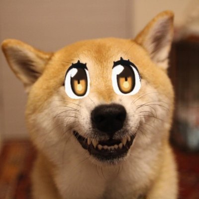 まめすこさんのプロフィール画像