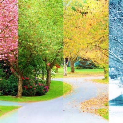 F_Type_Couger_'s profile picture. 日常の些細な事や、今 興味関心のある物、趣味等についてテキトーに好きに呟いております。※たまに自己、物事の分析等で独り言のように長々と日記を書くように綴る事あります。 あと麻婆豆腐大好きです♩