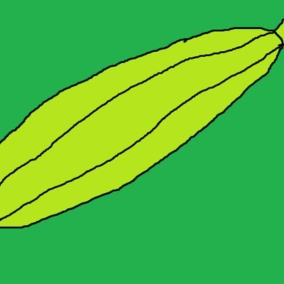 ぶのうりさんのプロフィール画像