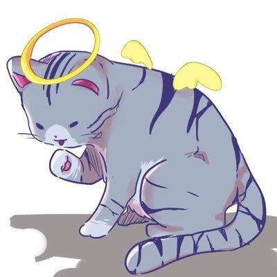 Saiぽこさんのプロフィール画像