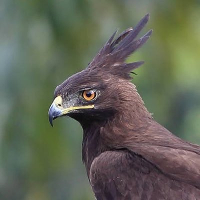 HAIZI814's profile picture. 仕事の日々🤫