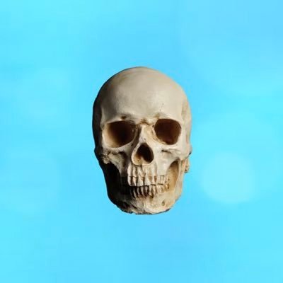 SANΩさんのプロフィール画像