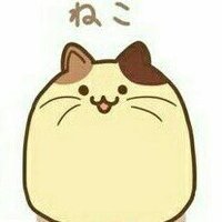 ねこぼ@データアナリスト (@nekobo_01) 's Twitter Profile Photo