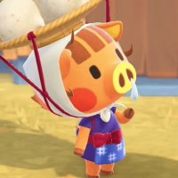 246 (@nishim_switch) 's Twitter Profile