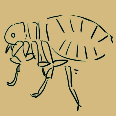 蚤(591円)さんのプロフィール画像
