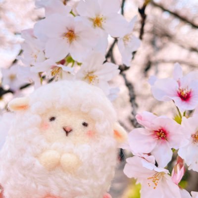 しろさんのプロフィール画像