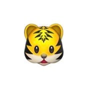 たいが🐯⛰️ (@tiger_u3) 's Twitter Profile